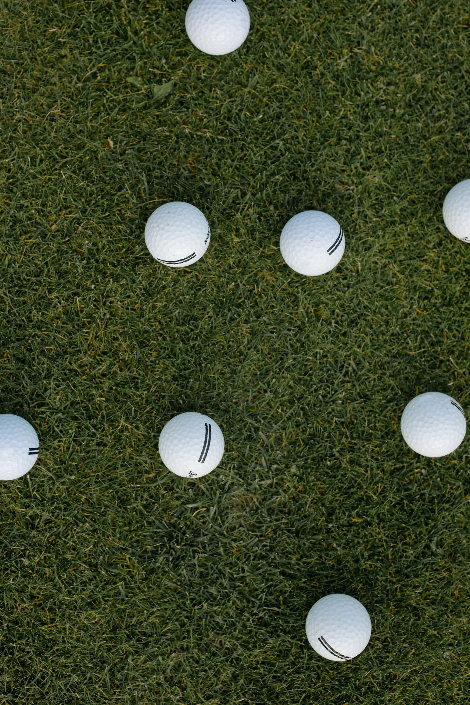 The Best Golf Balls for Beginners