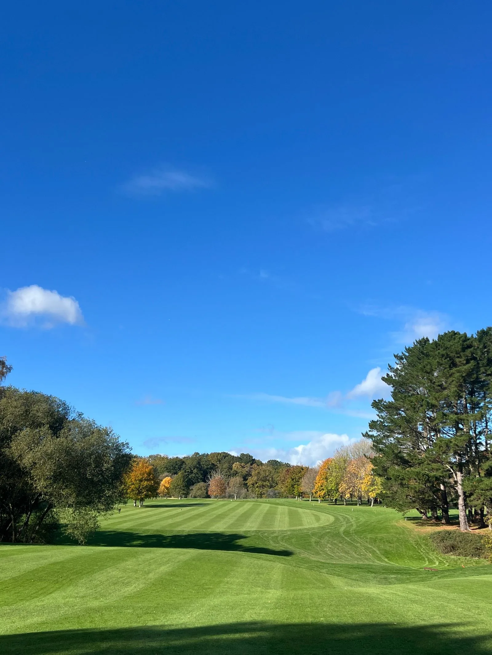 Best Golf Courses in the Arkansas Ozarks