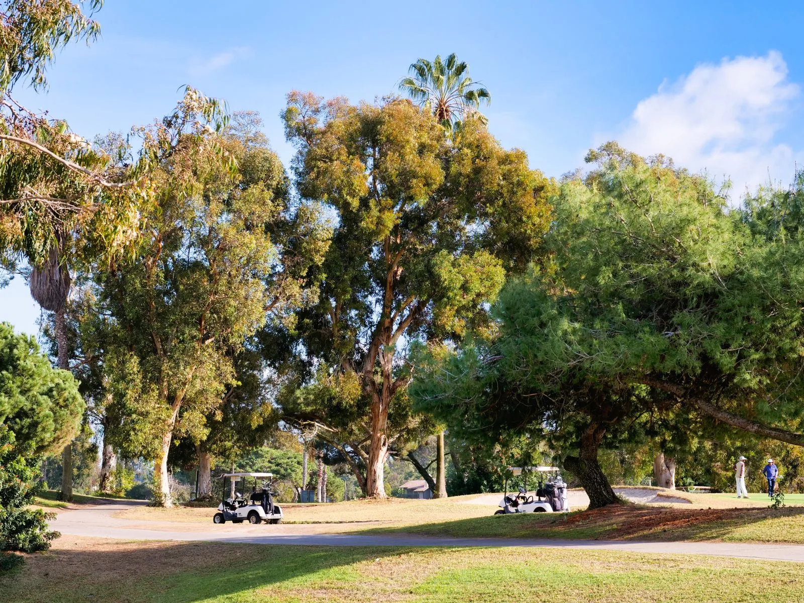 The Best Golf Push Carts for Walking Golfers