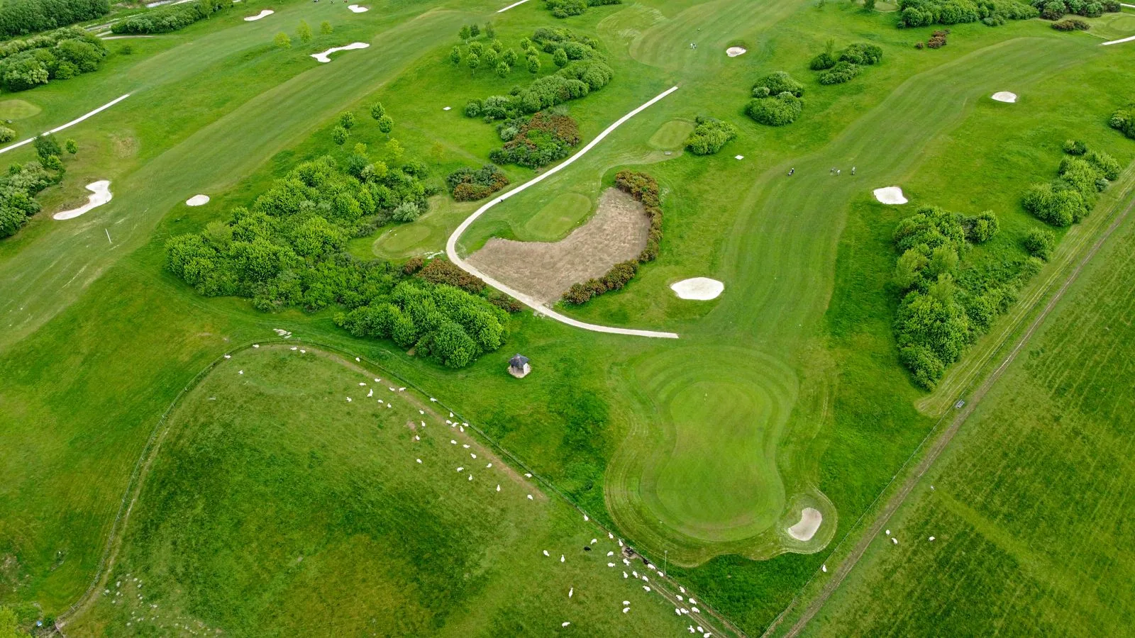 Golf Courses in Northwest Arkansas: The Complete Guide