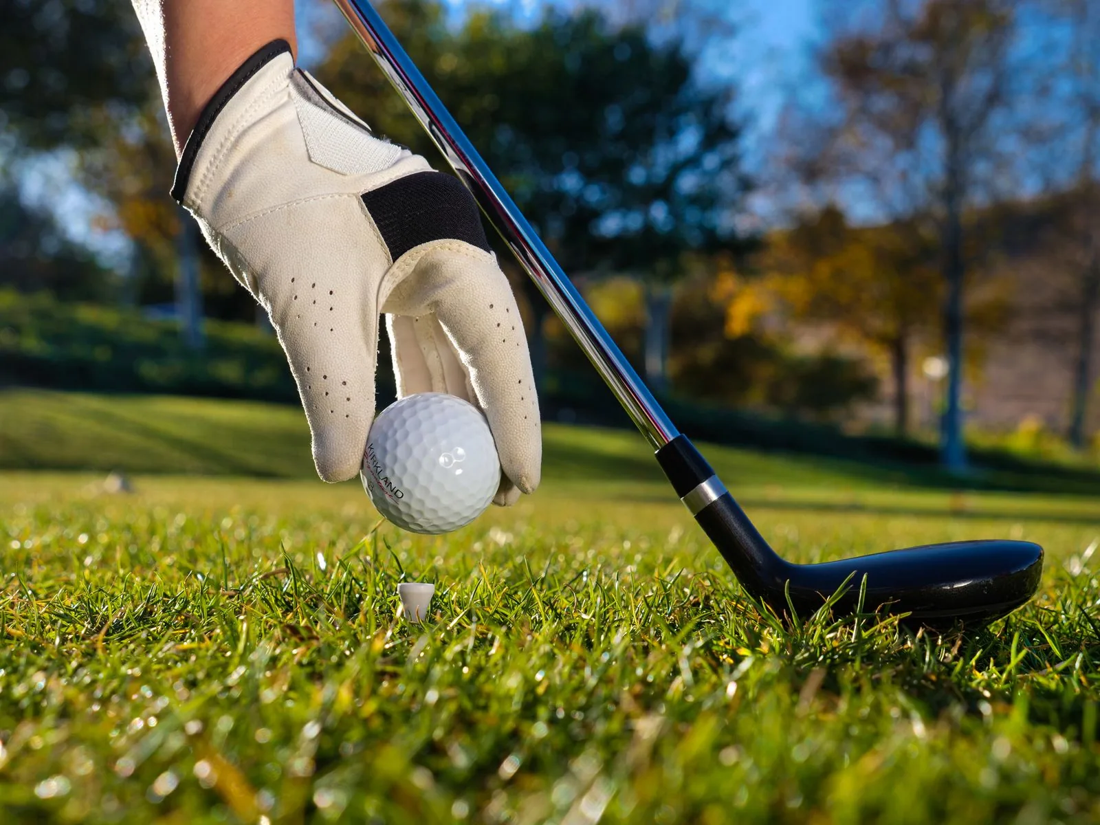 Reading the Green: A Beginner's Guide to Putting